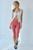 color Red Gingham 0