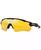 color POLISHED BLACK/PRIZM 24K POLARIZED 4