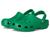 color Green Ivy 11