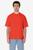 color Bright Orange 7