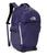 color Eternal Purple/Blue Flax 2
