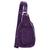 color plum 1