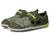 color Olive 4