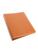 color TAN 5