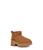 color Chestnut 1