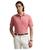 color Desert Rose 3
