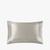 color Silvergray 2