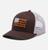 color Brown 2