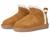 color Chestnut 1