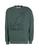 color Dark green 1