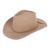 color light brown 1