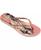 color Ballet Rose, Golden Blush, Rosa 1