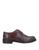 color Dark brown 1