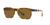 color Gradient Brown 1