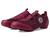color Wine Red 1