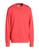 color Coral 1