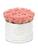 color CONCH PINK 1