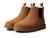 color Chestnut 1