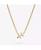 color Gold zodiac -sagittarius 6