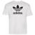 color White/Black 15