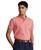 color Desert Rose 17