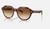 color Polished Light Havana On Multicolor/Clear Gradient Brown 5