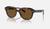 color Polished Havana/Brown 3