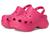 color Dragon Fruit 4