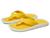 color Yellow Hibiscus/Yellow Hibiscus 11
