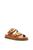 color Brown 0