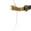 color Gold Gold Transparent 2