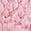 color Pink Rose 2