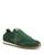 color Bright Pine 4