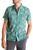 color Dark Green 2