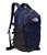 color TNF Navy/TNF Black-NPF 4