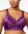 color Plum Majestic 7