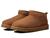 color Chestnut 1