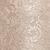 color Champagne 1