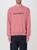 color PINK 2