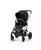 color Moon Black 1