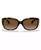 color LIGHT HAVANA/GREY GRADIENT BROWN POLAR 1