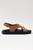 color Brown 1