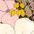 color big_flower 4