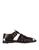 color Dark brown 1