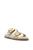 color Beige 1