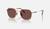color Polished Light Brown/Dark Violet 1