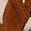 color Caramel 1