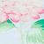 color PINK HYDRANGEA 7