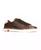 color Brown 1