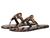 color Classic Leopard 4